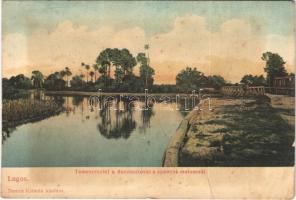 1905 Lugos, Lugoj; Temes részlet a duzzasztóval a spanyol malomnál. Nemes Kálmán kiadása / Timis river, dam near Spanish mill (EB)