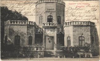Campina, Castelul Julia Hasdeu / castle (EK)