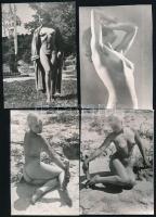 cca 1980 7 db akt / erotikus fotó, 12×8,5 cm