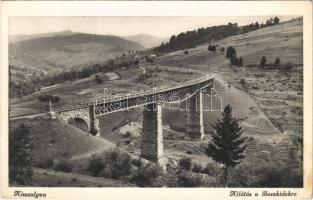 Kisszolyva, Szkotárszke, Skotarska; Kilátás a Beszkidekre, vasúti híd, viadukt / railway bridge, viaduct (EK)