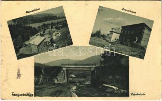 Fenyvesvölgy, Stavna, Stavne, Sztavne; Szanatórium, patak, híd. Mérai Jánosné kiadása / sanatorium, creek, bridge (EK)