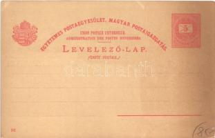 Budapest, Ezredéves Országos Kiállítás, Jobb part, Királyi vár, Lánchíd, gőzhajók. 5 Kr piros Ga. s:...