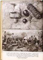 A V. Fric: A hosszú vadász visszatér. Zdenek Burian illusztrációival. Bratislava/Pozsony, 1970, Madá...