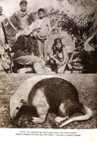 A V. Fric: A hosszú vadász visszatér. Zdenek Burian illusztrációival. Bratislava/Pozsony, 1970, Madá...