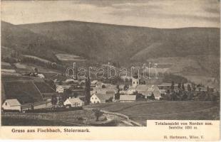 1908 Fischbach (Steiermark), Totalansicht von Norden aus / general view, church. Verlag Alois Schlager (EK)