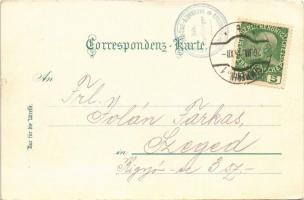 1911 Semmering, Wolfsbergkogel. Restauration u. Dependancen des Südbahnhotel / restaurant, hotel (sm...