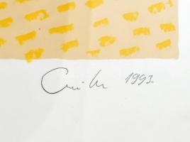 Szuromi Imre (1948-): Madár-kút, 1993. Szitanyomat, papír, jelzett, számozott. 6/30. Üvegezett fa ke...