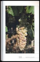 Bolgár György: Made in Hungary or made by Hungarians. Bp., 2009, Kossuth. Kiadói papírkötés. A szerz...