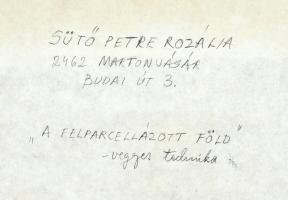 Sütő Petre Rozália (1952-) : Felosztott föld (Felparcellázott föld). Vegyes technika, farost, jelzet...