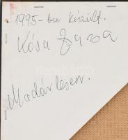 Kósa Zsuzsa (1943-2020): Madárlesen, 1995. Olaj, farost, jelzett a hátoldalán. 70×50 cm. Fa keretben...