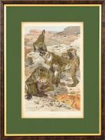 4 db illusztrációs nyomat, üvegezett fa keretben, paszpartuban, 14×21 cm, 14,5x22 cm, 14x22 cm