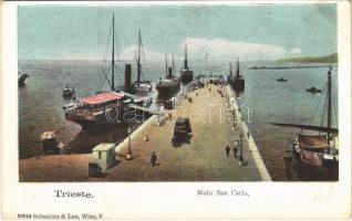Trieste, Trst; Molo San Carlo / molo, port, steamships. Schneider & Lux (EB)