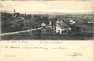 1903 Pivka, St. Petra na Krasu, San Pietro del Carso, St. Peter in Krain; general view, lumber yard. Verlag A. Bolé (Adelsberg) (EK)