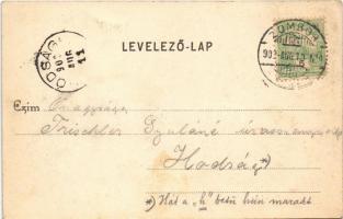 1902 Zombor, Sombor; Erzsébet tér, Megyeház. Bruck Sándor kiadása / park, square, county hall