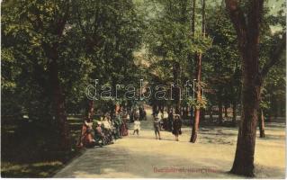 1909 Buziásfürdő, Baile Buzias; Hársfa sétány. Francz József kiadása / promenade