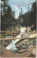 1912 Tátra, Magas-Tátra, Vysoké Tatry; Nagy-Tarpatak felső vízesése, fahíd / Gross Kohlbach oberer Wasserfall / waterfall, wooden bridge (EK)