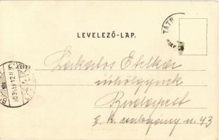 1903 Tátra, Magas-Tátra, Vysoké Tatry; Nagy-Tarpatak felső vízesése, fahíd. Divald Károly 329. sz. /...