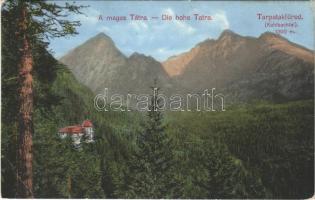 1913 Tátra, Magas-Tátra, Vysoké Tatry; Tarpatakfüred / Kohlbachtal / valley (EB)