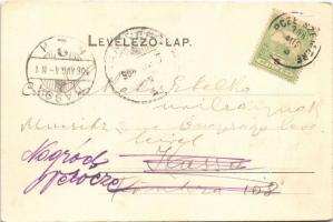 1906 Répceszemere, Répcze-Szemere; Dr. Steiner háza (fl)