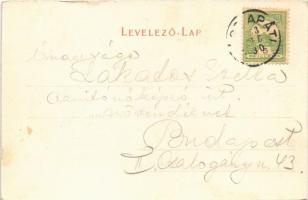 1903 Jászapáti, Jász-Apáthi; Kir. Járásbíróság, Vágó Pál festőművész szülőháza. Ragács Gyula felvéte...