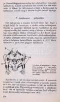 Vígh Béla: Jóga és tudomány. Bp., 1972, Gondolat. Kiadói papírkötés