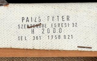 Paizs Péter (1957-2015): Aranygrafikon II, 1991. Akril, vászon, jelzett. Hátoldalán autográf felirat...