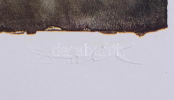 Salvador Dali (1904-1989): Butterfly suite, Normandie. Computer print, papír. Szárazpecséttel jelzet...