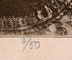 Tassy Béla (1942-): Minna, Anna...... Színes rézkarc, papír, jelzett, számozott (3/50), 58x39,5 cm