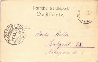 1898 Bad Kreuznach, Elisabethquelle / spa, spring source (fl)