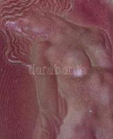 Rózsaszín fedelű, akt motívumú üvegdoboz, csorbákkal, 6x14x10 cm