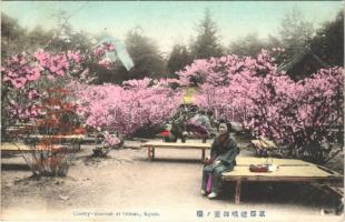Kyoto, cherry blossom at Omuro