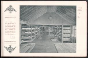 1900 Mohai Ágnes naptár. 1900. Édeskuty L. Cs. és Kir.  és Szerb Kir. Udv. Szállító Budapesten. Bp.,...