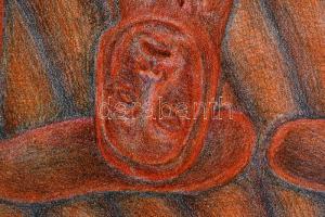 Gaál József (1960-): "Machine á terre" - Földszerszám, 1990. Litográfia, papír. Jelzett, s...