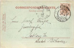 1898 Trieste, Trst; Canal Grande / canal, boats