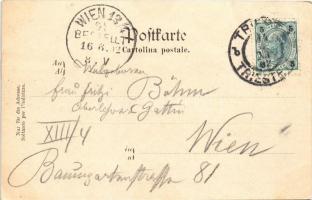 1902 Trieste, Trst; dal molo S. Carlo / port, sailing vessels, boats