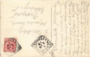 Venezia, Venice; Saint Mark's Square with pigeons. photo