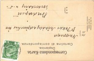 Dubrovnik, Ragusa; Franziskaner Apotheke / Franciscan pharmacy. Purger & Co. Photochromiekarte 1...