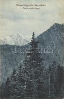 Fogarasi-havasok, Muntii Fagarasului; Siebenbürgische Karpathen / Erdélyi Kárpátok. Jos. Drotleff Nr. 355. Phot. E. Fischer / Transylvanian Carpathians Haitasel (EK)