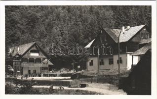 Radnaborberek, Borberek-fürdő, Valea Vinului; M. kir. Földm. Minisztérium üdülőtelepe / holiday resort, spa, villas