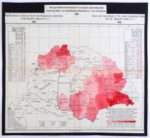 1916 Az egyesített nemzetiségi és a magyar pénzintézetek részvénytőke és tartalékalap állománya %-os arányban, kartonra ragasztva, 44×47 cm