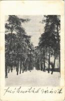 1928 Nagyenyed, Aiud; Sétatéri részlet. Nagyenyedi véndiákok kiadása / promenade (fa)