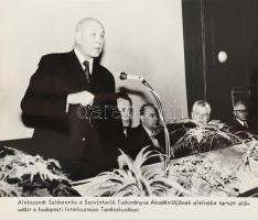 Szentendre, Budapest, Esztergom, 11 db MTI sajtófotó, 27×20 cm