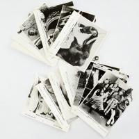 14 db állatokkal kapcsolatos MTI sajtófotó, 27×21 cm
