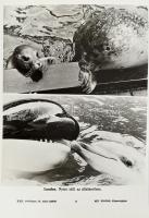 14 db állatokkal kapcsolatos MTI sajtófotó, 27×21 cm