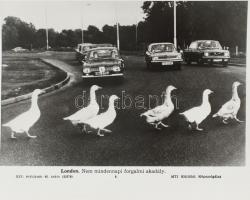 11 db közlekedési eszközöket bemutató MTI sajtófotó, 24×20 cm