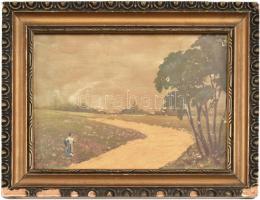 Jelzés nélkül: Arany középút. Olaj, karton. Üvegezett, sérült fa keretben. 12x16 cm