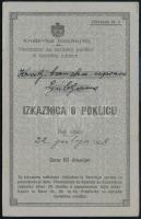 1938 Jugoszláv Királyság által kiállított fényképes igazolvány dr. Aczél Géza részére