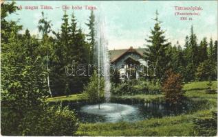 Tátraszéplak, Tatranska Polianka, Westerheim  (Tátra, Magas-Tátra, Vysoké Tatry);  nyaraló. Divald Károly műintézete 1853-1908. / villa