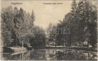1910 Nagybánya, Baia Mare; Széchenyi liget. Kovács Gyula kiadása / park (EK)