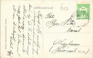 Marosludas, Ludosul de Mures, Ludus; Maros híd. Glück J. kiadása 6240. / Mures bridge